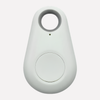 Real-Time Location Tracking for Pets