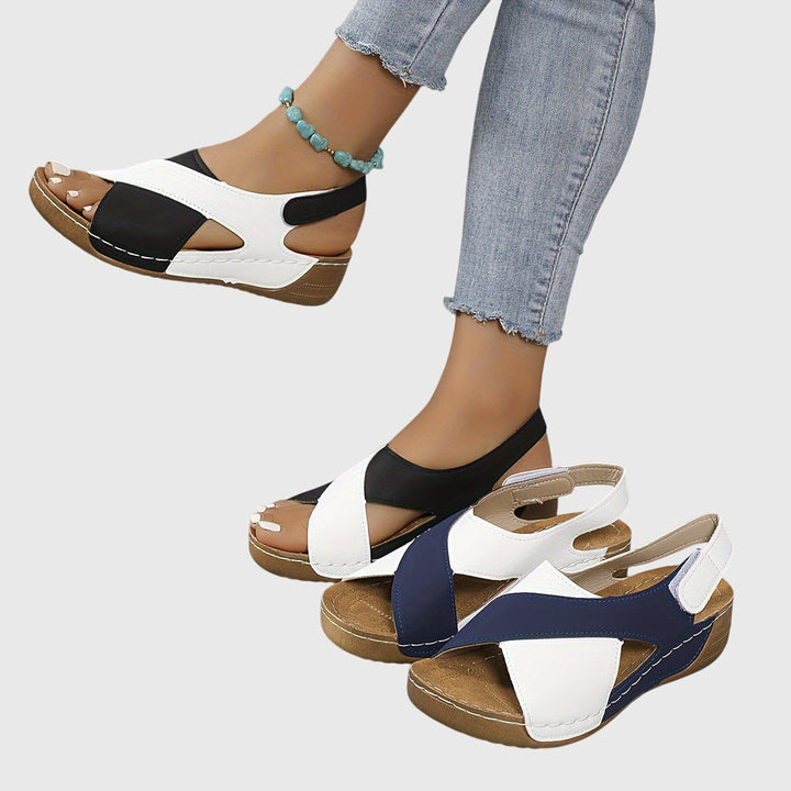 https://cdn.shopify.com/s/files/1/0959/2776/3327/files/1e655e74d85541b189d438cba27c5bd9.jpg?v=1763349317