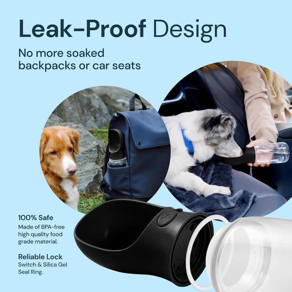 https://cdn.shopify.com/s/files/1/0178/9896/3044/files/71eC5OqbpGL._AC_SL1500.jpg?v=1722700858