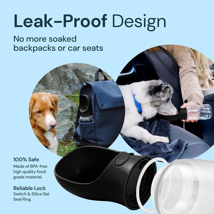 https://cdn.shopify.com/s/files/1/0178/9896/3044/files/71eC5OqbpGL._AC_SL1500.jpg?v=1722700858