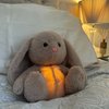 Calming Cuddle Toy