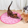 Motion-Activated Interactive Cat Toy