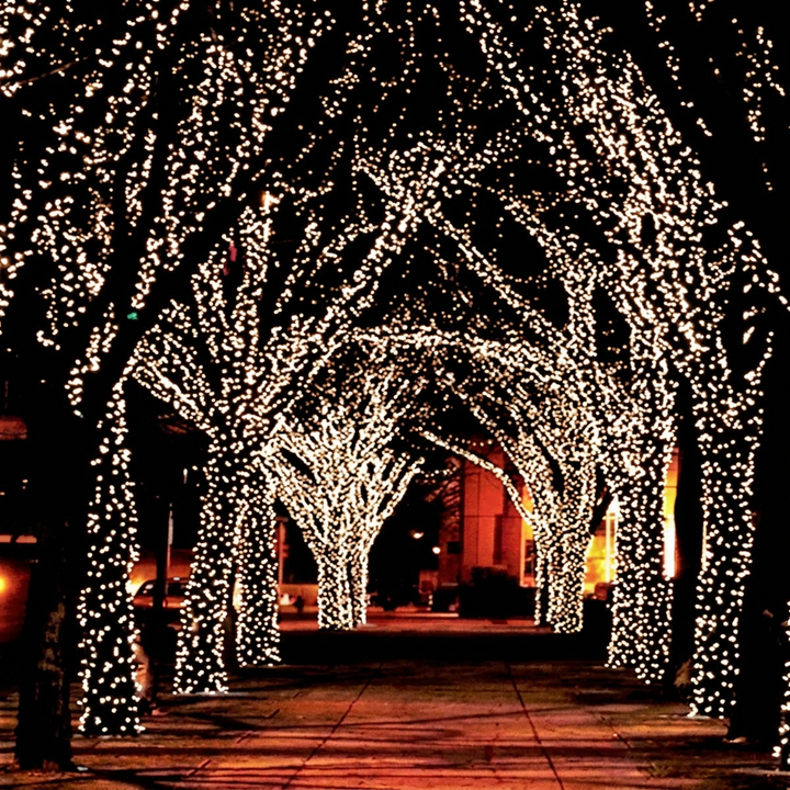 17 M 100 LED Fairy Light String